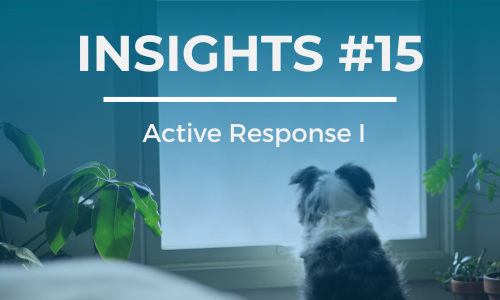 A dog sits staring out of a window. The text overlay reads 'INSIGHTS #15' at the top and 'Active Response I' below it, in white font against a blue background.