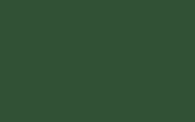 A dark green block colour