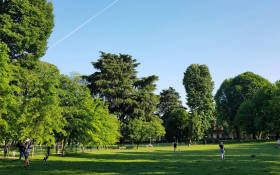 Children play in a green field full of trees