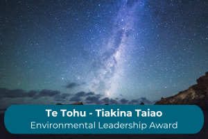 An image of the night sky with the copy Te Tohu